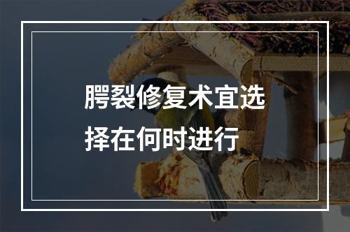 腭裂修复术宜选择在何时进行