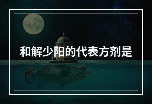 和解少阳的代表方剂是