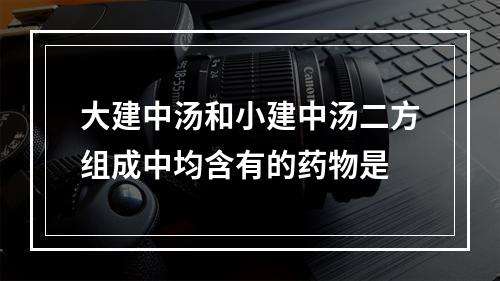 大建中汤和小建中汤二方组成中均含有的药物是