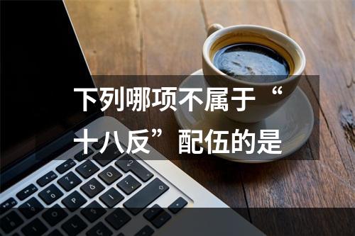 下列哪项不属于“十八反”配伍的是