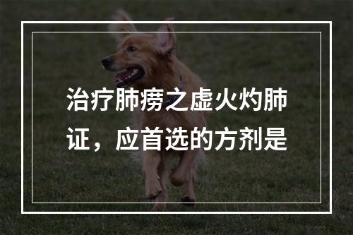 治疗肺痨之虚火灼肺证，应首选的方剂是