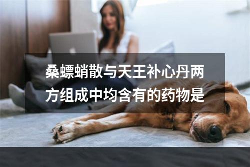 桑螵蛸散与天王补心丹两方组成中均含有的药物是