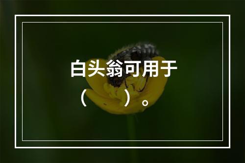 白头翁可用于（　　）。