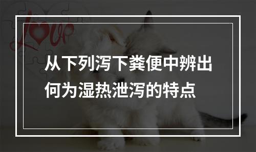 从下列泻下粪便中辨出何为湿热泄泻的特点