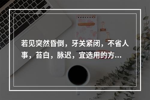 若见突然昏倒，牙关紧闭，不省人事，苔白，脉迟，宜选用的方子是