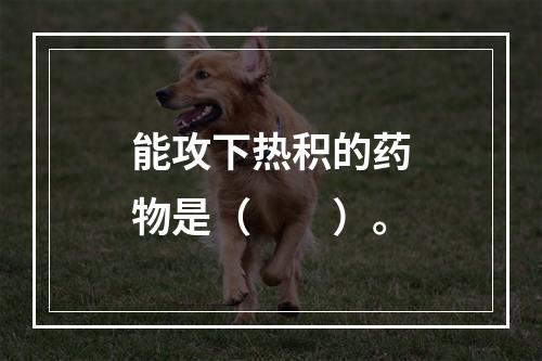 能攻下热积的药物是（　　）。