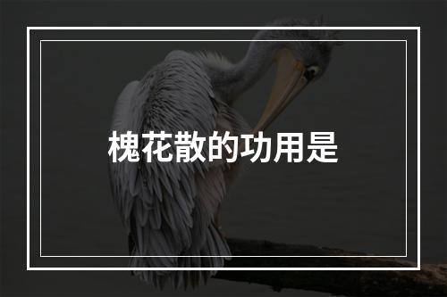 槐花散的功用是