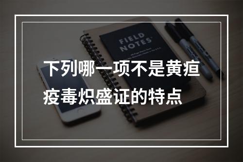 下列哪一项不是黄疸疫毒炽盛证的特点