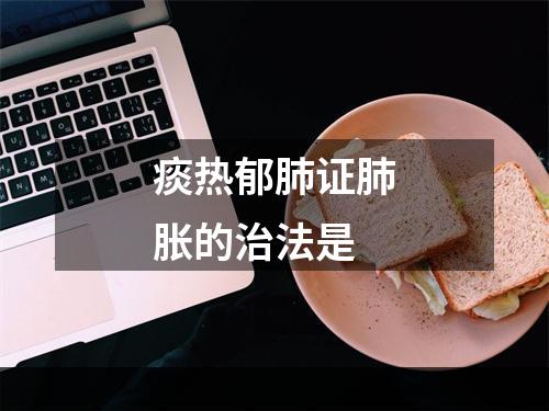 痰热郁肺证肺胀的治法是