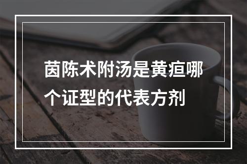 茵陈术附汤是黄疸哪个证型的代表方剂