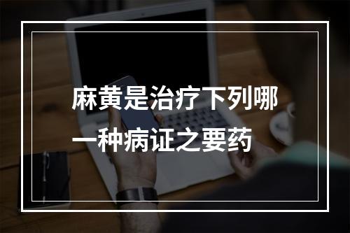 麻黄是治疗下列哪一种病证之要药