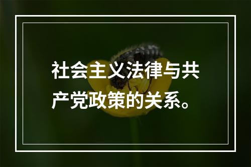 社会主义法律与共产党政策的关系。