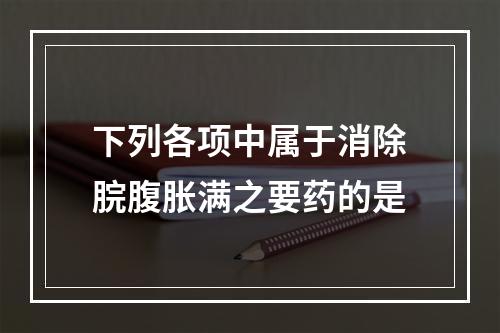 下列各项中属于消除脘腹胀满之要药的是