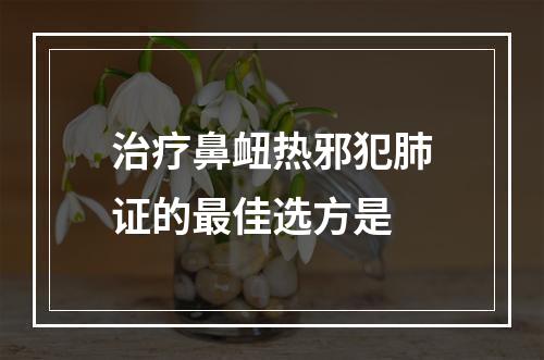 治疗鼻衄热邪犯肺证的最佳选方是