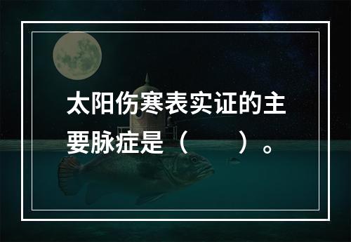 太阳伤寒表实证的主要脉症是（　　）。