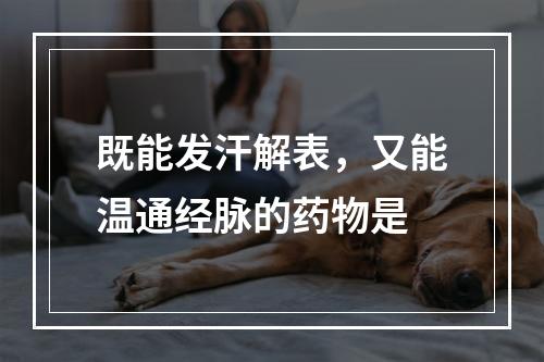 既能发汗解表，又能温通经脉的药物是