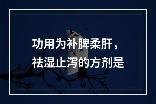 功用为补脾柔肝，祛湿止泻的方剂是