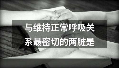 与维持正常呼吸关系最密切的两脏是