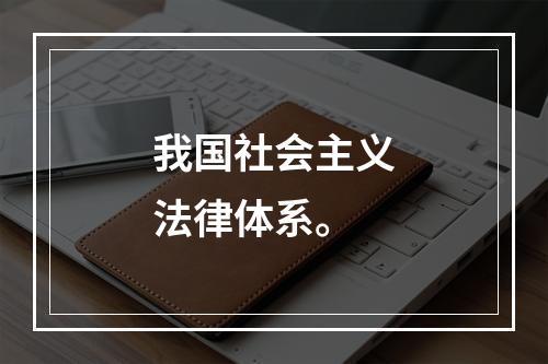 我国社会主义法律体系。