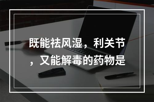 既能祛风湿，利关节，又能解毒的药物是