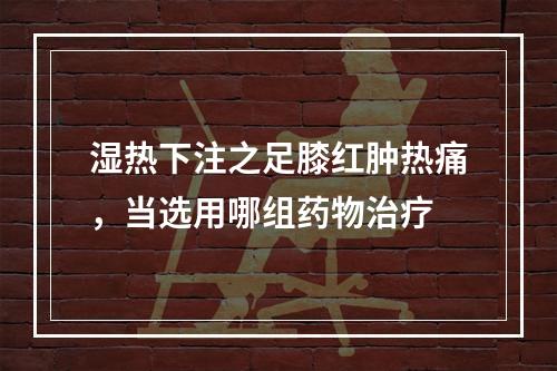 湿热下注之足膝红肿热痛，当选用哪组药物治疗