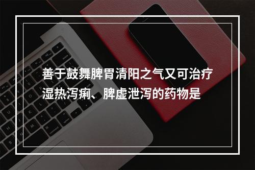 善于鼓舞脾胃清阳之气又可治疗湿热泻痢、脾虚泄泻的药物是