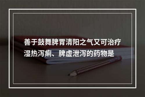 善于鼓舞脾胃清阳之气又可治疗湿热泻痢、脾虚泄泻的药物是