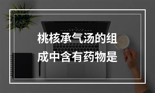 桃核承气汤的组成中含有药物是