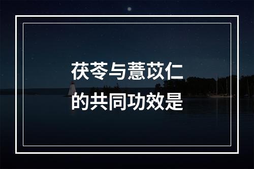 茯苓与薏苡仁的共同功效是