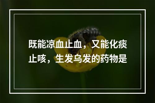 既能凉血止血，又能化痰止咳，生发乌发的药物是