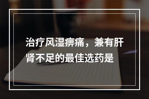 治疗风湿痹痛，兼有肝肾不足的最佳选药是