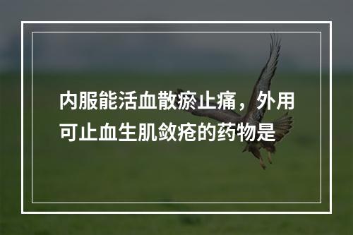 内服能活血散瘀止痛，外用可止血生肌敛疮的药物是