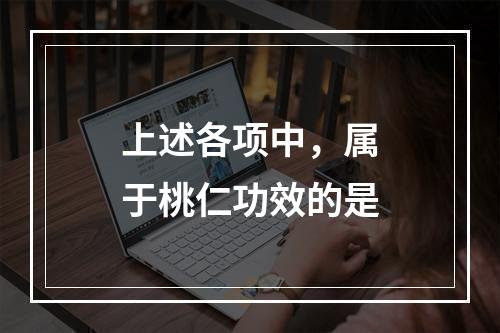 上述各项中，属于桃仁功效的是