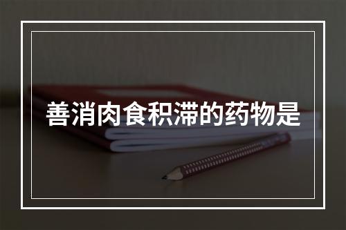 善消肉食积滞的药物是