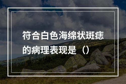 符合白色海绵状斑痣的病理表现是（）