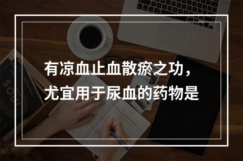 有凉血止血散瘀之功，尤宜用于尿血的药物是