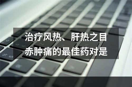 治疗风热、肝热之目赤肿痛的最佳药对是