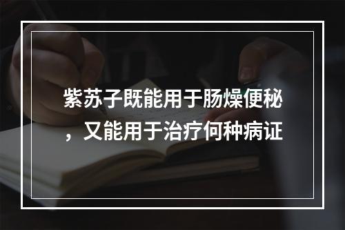 紫苏子既能用于肠燥便秘，又能用于治疗何种病证