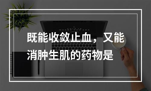 既能收敛止血，又能消肿生肌的药物是