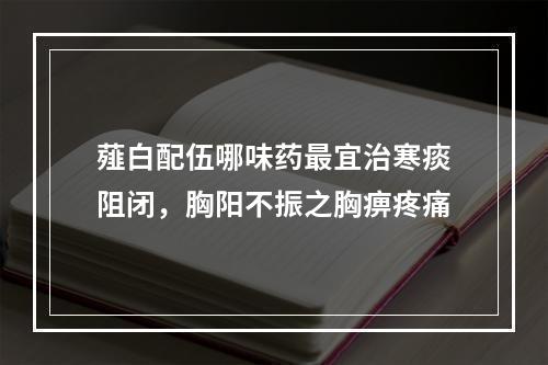 薤白配伍哪味药最宜治寒痰阻闭，胸阳不振之胸痹疼痛