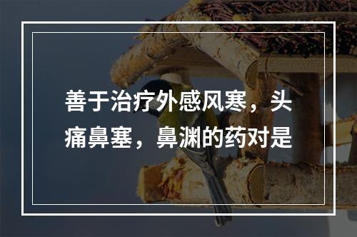 善于治疗外感风寒，头痛鼻塞，鼻渊的药对是