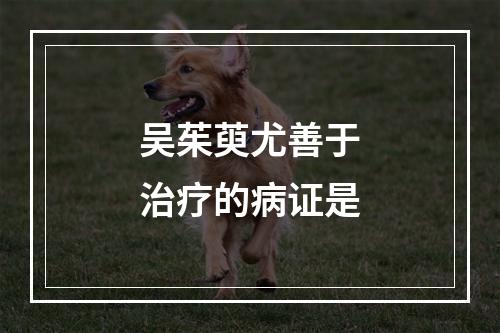 吴茱萸尤善于治疗的病证是