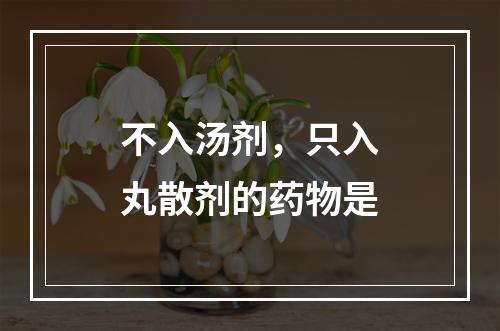 不入汤剂，只入丸散剂的药物是