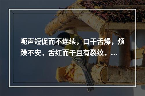 呃声短促而不连续，口干舌燥，烦躁不安，舌红而干且有裂纹，脉细