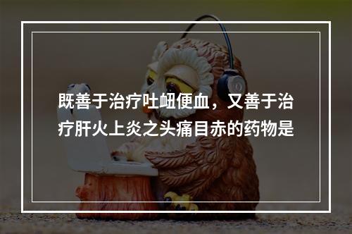 既善于治疗吐衄便血，又善于治疗肝火上炎之头痛目赤的药物是