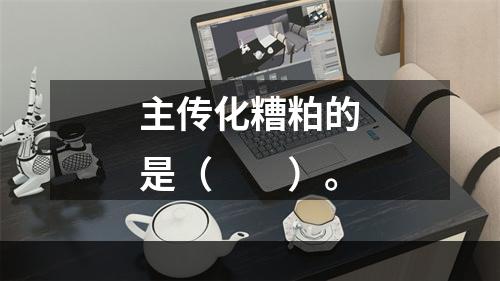 主传化糟粕的是（　　）。