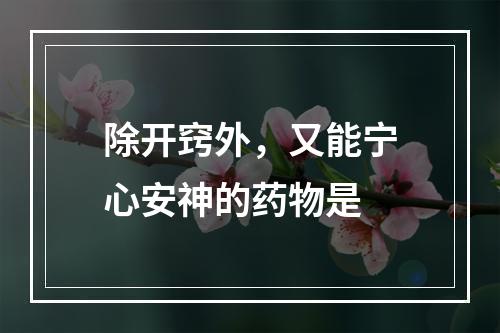 除开窍外，又能宁心安神的药物是