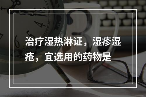 治疗湿热淋证，湿疹湿疮，宜选用的药物是