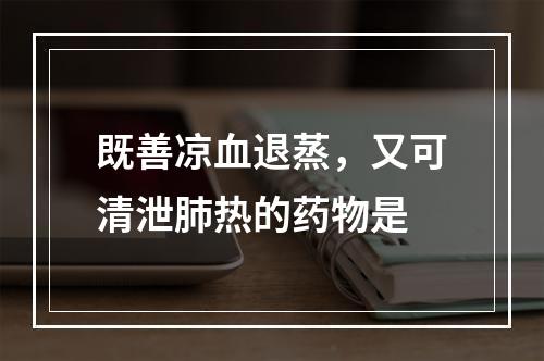 既善凉血退蒸，又可清泄肺热的药物是