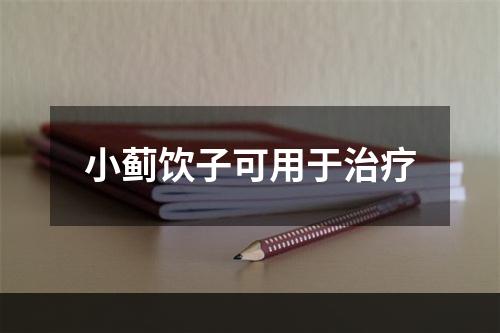 小蓟饮子可用于治疗